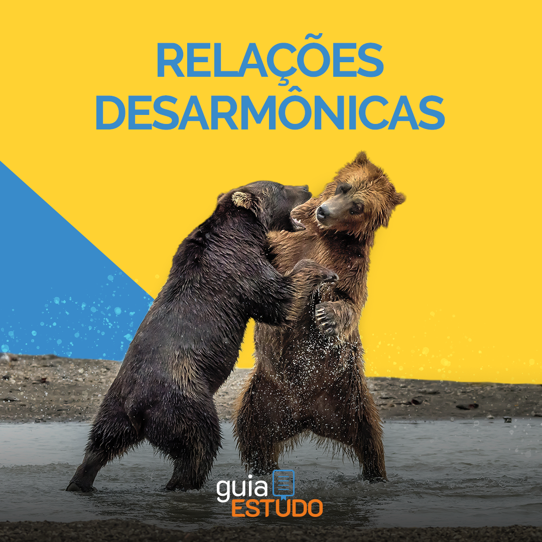 guia-estudo-redes (6)